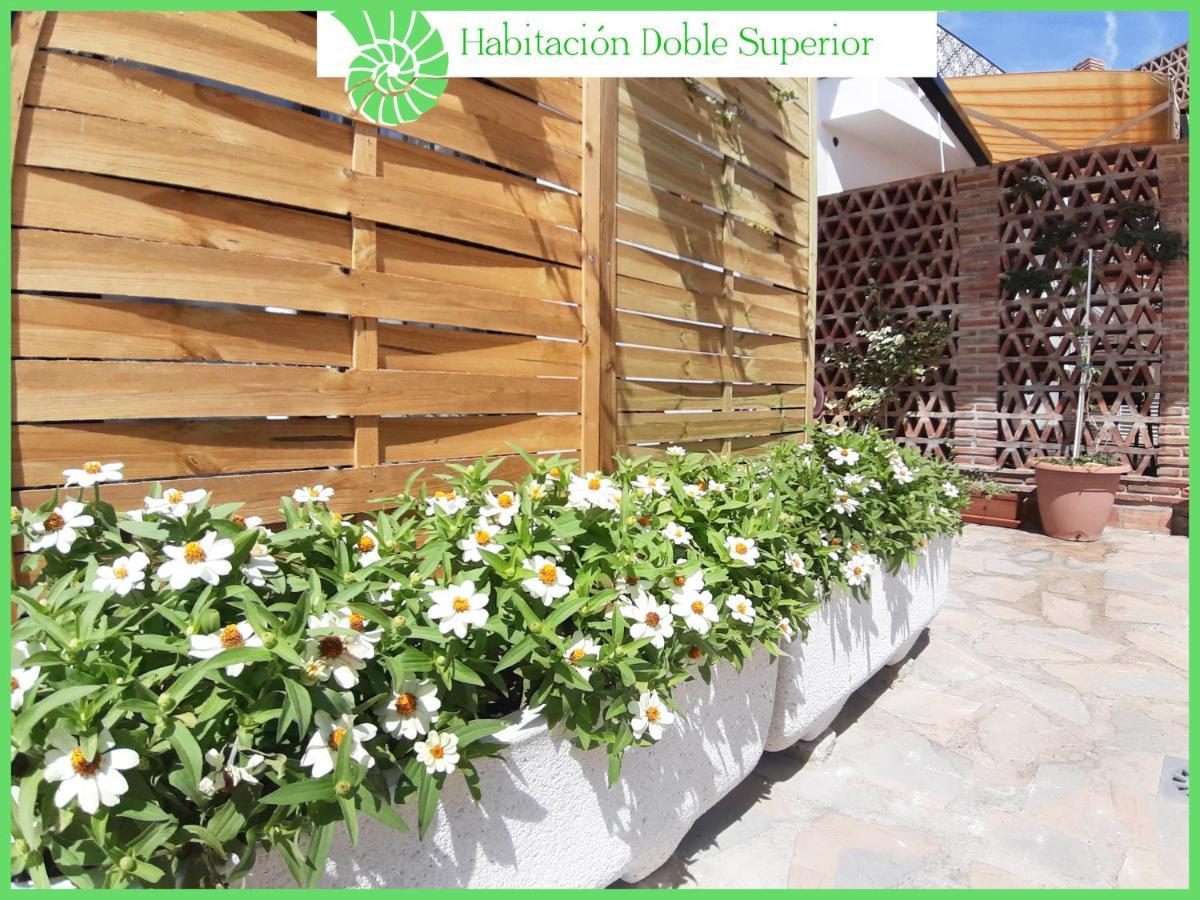 Séjour chez l'habitant Biznaga Hols (adults Only) Benalmádena